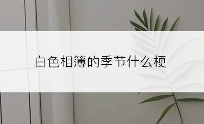 白色相簿的季节什么梗