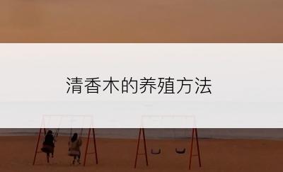 清香木的养殖方法