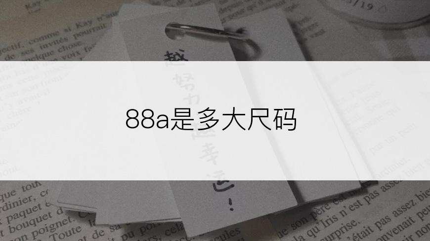 88a是多大尺码