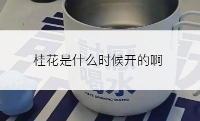 桂花是什么时候开的啊