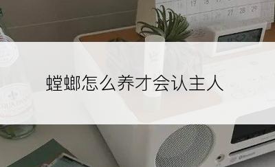 螳螂怎么养才会认主人