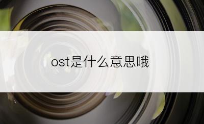 ost是什么意思哦