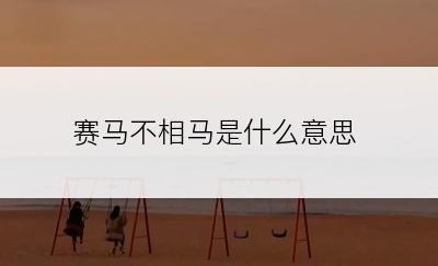 赛马不相马是什么意思