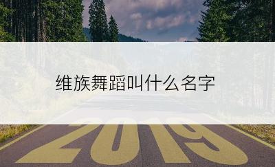 维族舞蹈叫什么名字