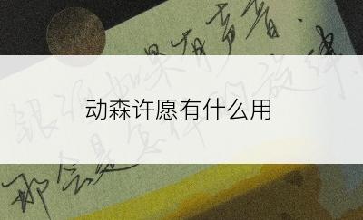 动森许愿有什么用