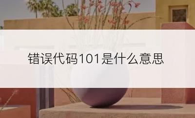 错误代码101是什么意思