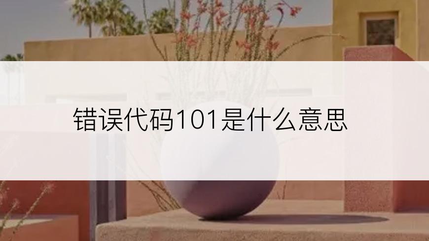 错误代码101是什么意思