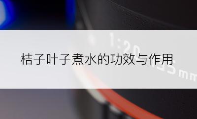 桔子叶子煮水的功效与作用