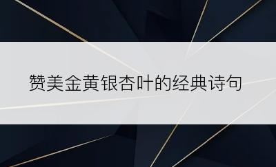 赞美金黄银杏叶的经典诗句