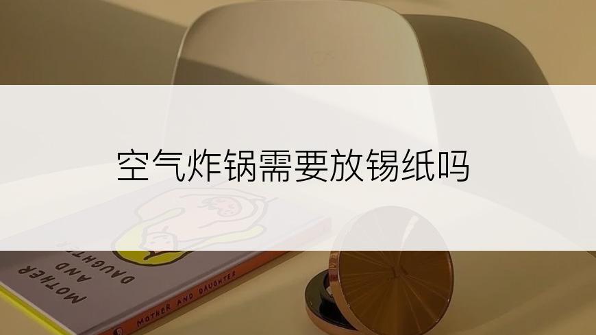 空气炸锅需要放锡纸吗