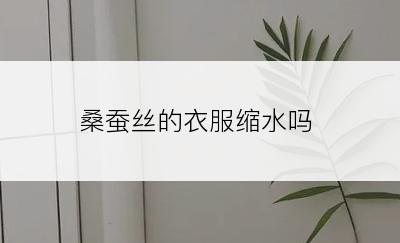 桑蚕丝的衣服缩水吗