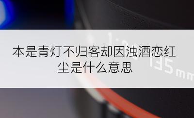 本是青灯不归客却因浊酒恋红尘是什么意思