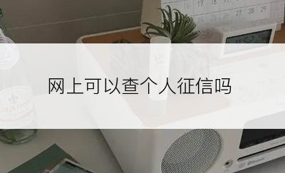 网上可以查个人征信吗