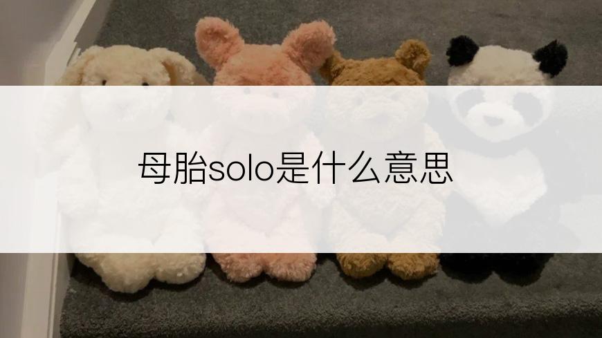 母胎solo是什么意思