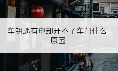 车钥匙有电却开不了车门什么原因