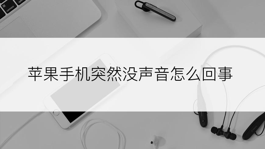 苹果手机突然没声音怎么回事