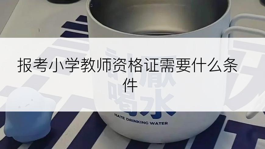 报考小学教师资格证需要什么条件