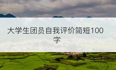 大学生团员自我评价简短100字