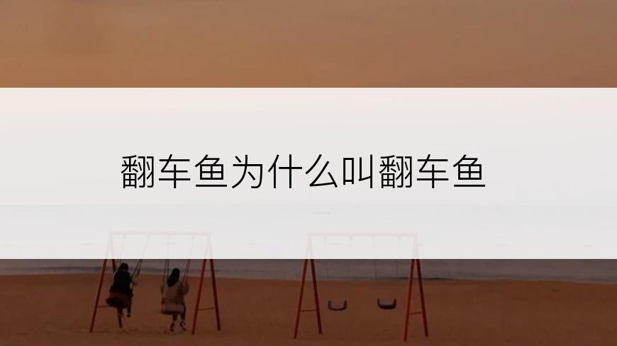 翻车鱼为什么叫翻车鱼