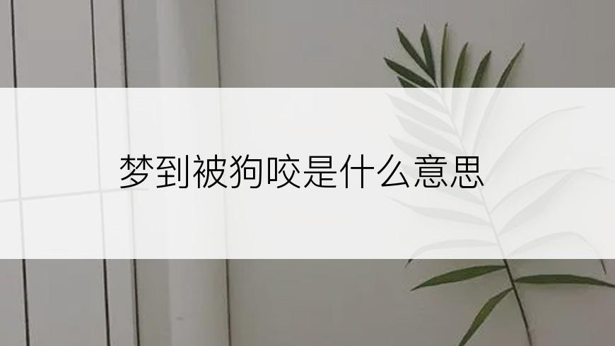 梦到被狗咬是什么意思