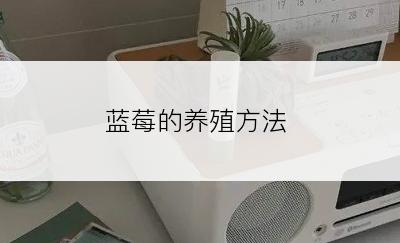 蓝莓的养殖方法