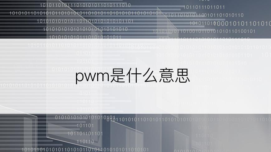 pwm是什么意思