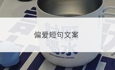 偏爱短句文案