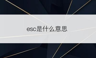 esc是什么意思