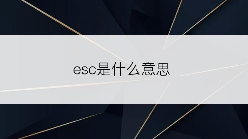 esc是什么意思