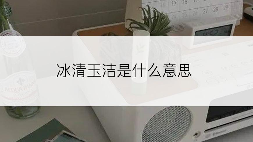 冰清玉洁是什么意思