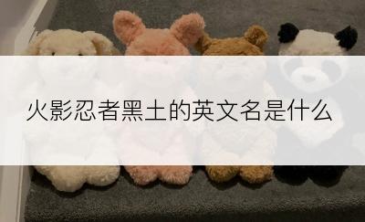 火影忍者黑土的英文名是什么