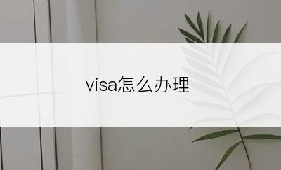 visa怎么办理