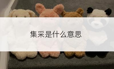 集采是什么意思