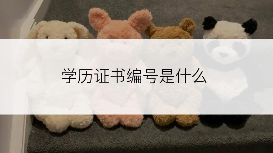 学历证书编号是什么