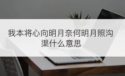 我本将心向明月奈何明月照沟渠什么意思