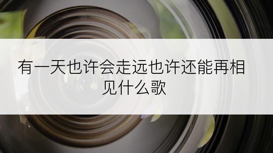 有一天也许会走远也许还能再相见什么歌