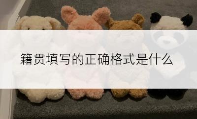 籍贯填写的正确格式是什么