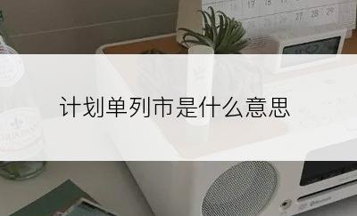 计划单列市是什么意思