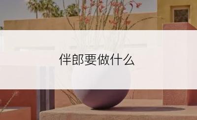 伴郎要做什么