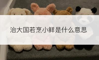 治大国若烹小鲜是什么意思