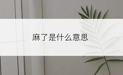 麻了是什么意思