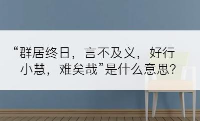 “群居终日，言不及义，好行小慧，难矣哉”是什么意思？