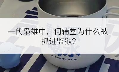 一代枭雄中，何辅堂为什么被抓进监狱？