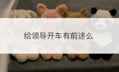 给领导开车有前途么