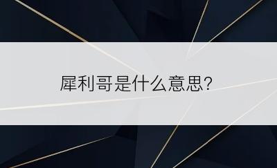 犀利哥是什么意思？