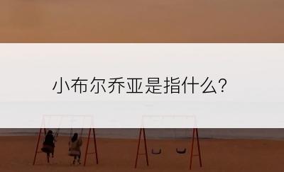 小布尔乔亚是指什么？