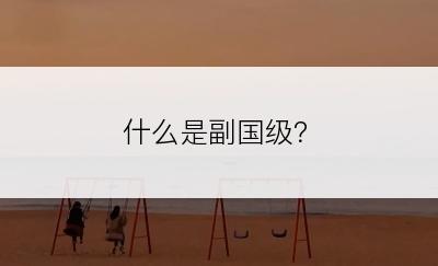 什么是副国级？