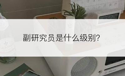 副研究员是什么级别？