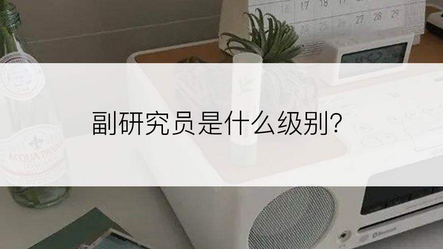 副研究员是什么级别？