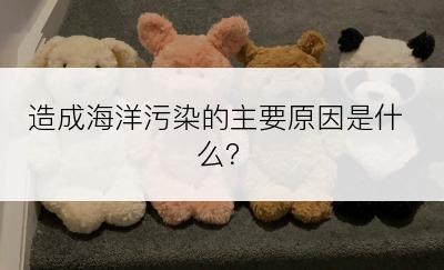 造成海洋污染的主要原因是什么？